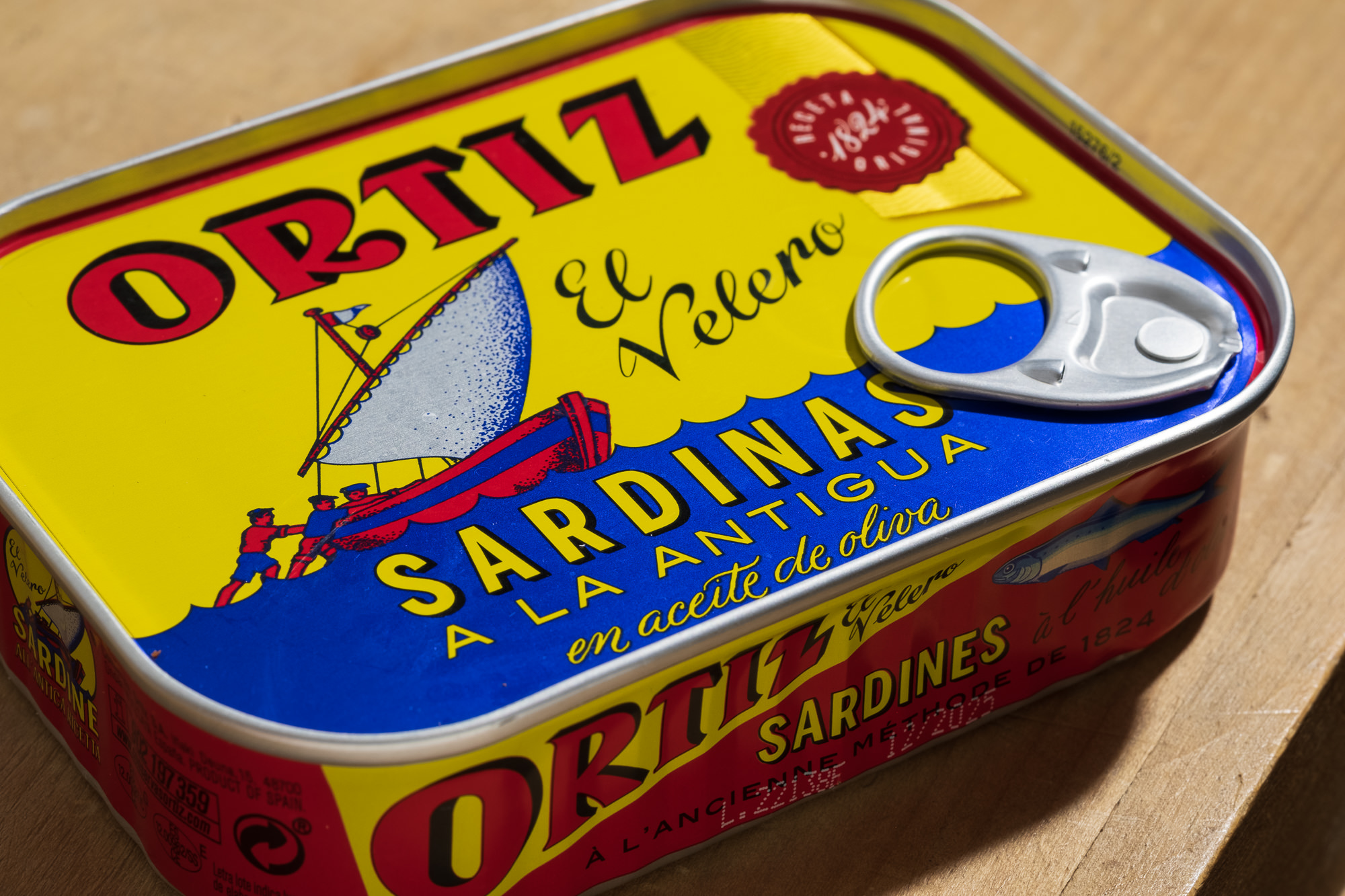 Sardines, close up